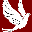 Team Page: Grace Christian Fellowship